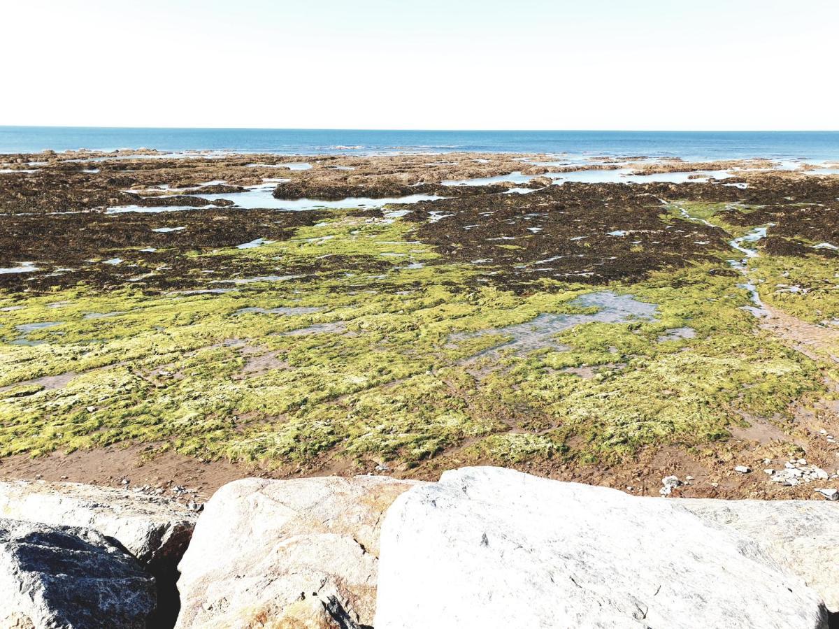 Brétignolles-sur-Mer Le Temps D'Une Pause المظهر الخارجي الصورة